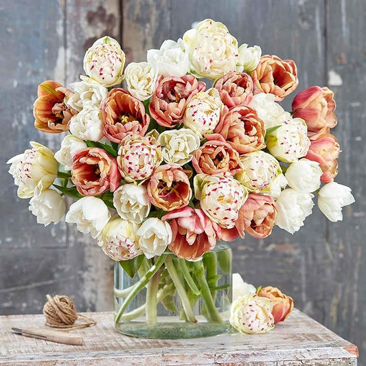 Eden Brothers Tulip Bulbs, La Belle Epoque Romantic Mix, 10 Bulbs | Perennial Flowers, Spring or Fall Planted, Full Sun, Indoor Forcing or Outdoor Planting, Easy-to-Grow | Zones 3, 4, 5, 6, 7, 8