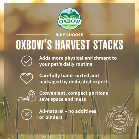 Oxbow Animal Health Harvest Stacks, Western Timothy Hay with Carrots, Guinea Pig Hay, Small Pet Bunny Supplies, Western Timothy for Rabbits, Guinea Pigs, Chinchillas, Hamsters & Gerbils, 35 oz.