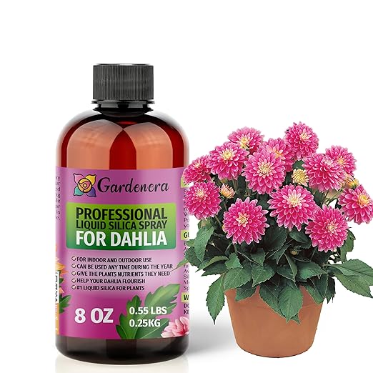 𝐒𝐔𝐏𝐄𝐑𝐈𝐎𝐑 Liquid Silica Boost Fertilizer and Supplement Spray for Dahlia Plants – Pre-Mixed, Ready-to-Use Liquid Silicon Plant Superfood Mist for Indoor & Outdoor Plants – 8oz