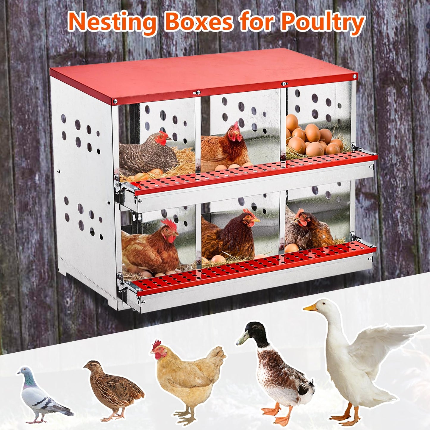 Nesting Boxes for Chickens, 6 Compartment Roll Out Away Chicken Nesting Boxes for Laying Eggs, Nesting Gift Boxes for Hens Duck Poultry, Metal Heavy Duty Chicken Coop with Perch