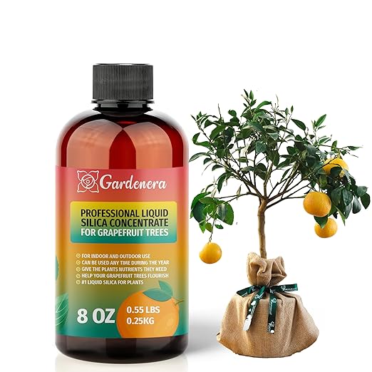 𝐏𝐑𝐄𝐌𝐈𝐔𝐌 Liquid Silica Plant Supplement - 8oz (250mL) - Grapefruit Trees Liquid Silica Boost Fertilizer - Stronger Stems & Healthy Leaves for Indoor & Outdoor Grapefruits (Makes 45 Gallons)