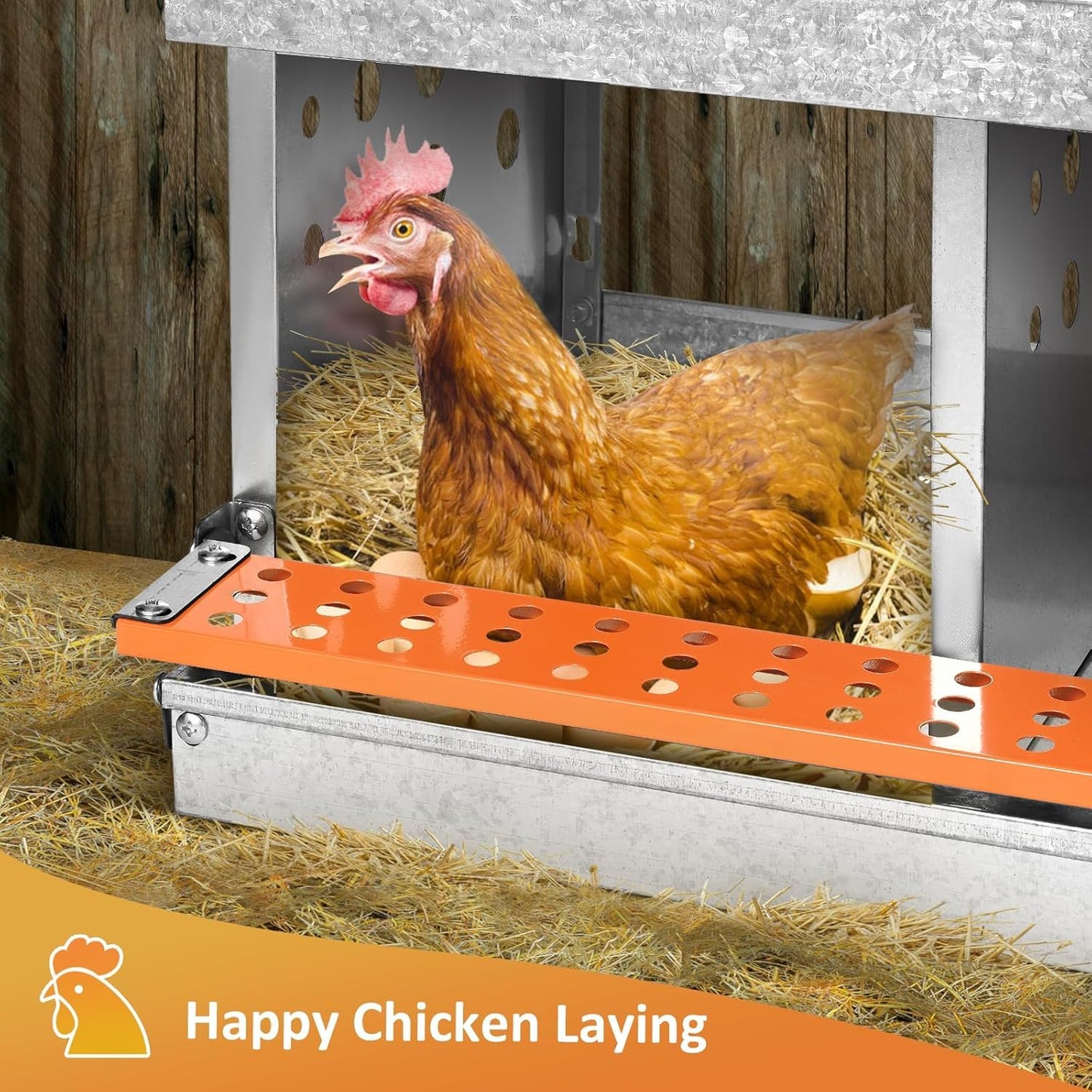 FuzzlyCo Chicken Nesting Box, 10 Compartment Nesting Boxes for Chicken Laying Eggs, Metal Chicken Laying Boxes with Roll Away Egg Collection, Heavy Duty Chicken Coop Nest Box