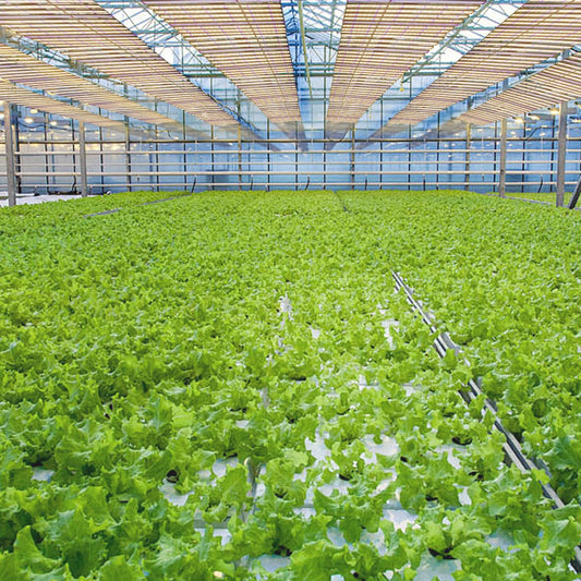 SZHLUX LED Grow Light for Indoor Plants, Dimmable Grow Light for Greenhouse (PTA1060W, 1060W)