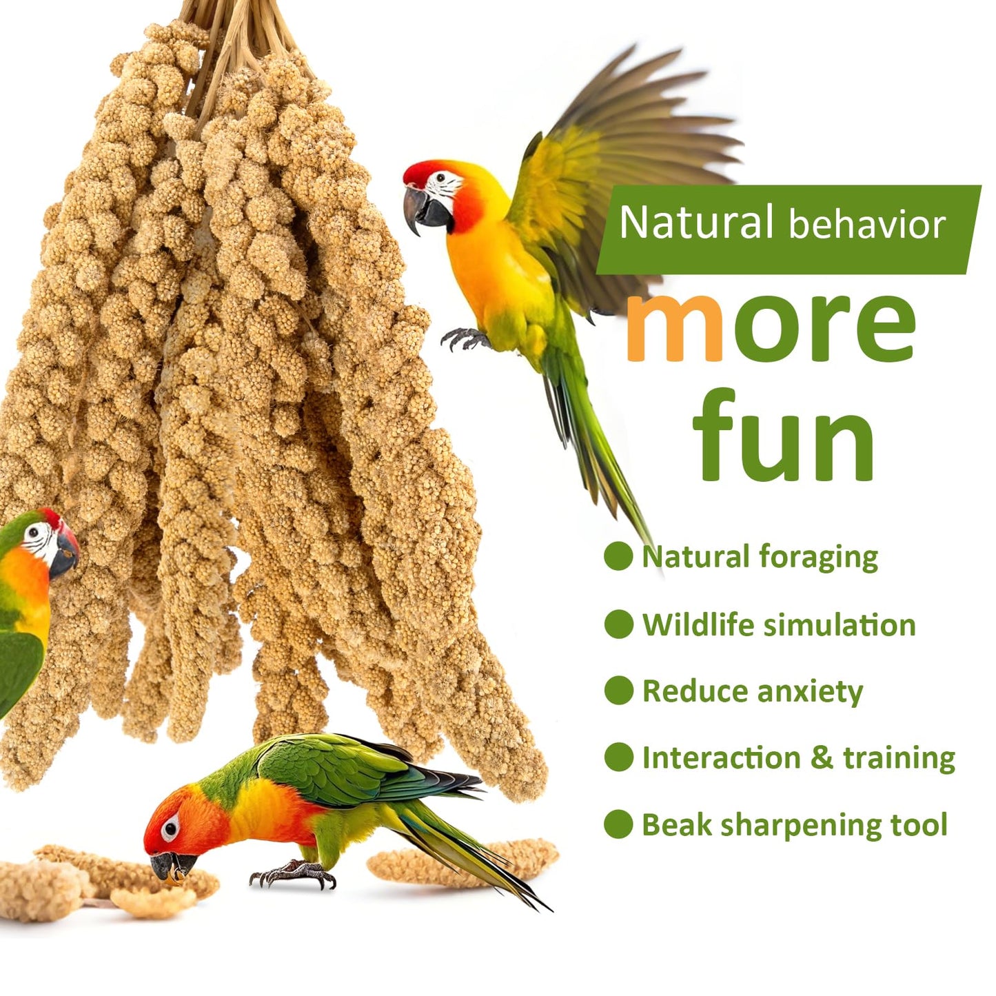 HATORTOP Spray Millet for Birds 5LB - All Natural Sun-Dried Healthy Treat, Millet Spray for Parakeets, Parrots, Lovebirds, Cockatiels Food, 100% Non-GMO High Protein Fresh Bird Seed