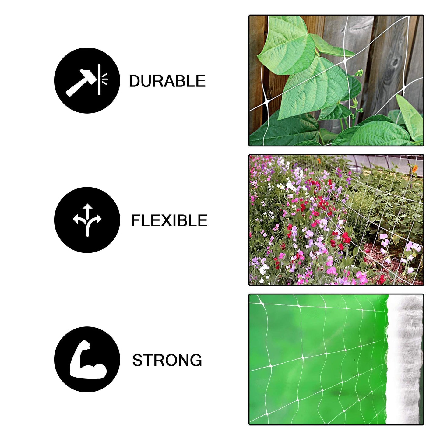 COMMON CULTURE Professional Grade Trellis Netting Bulk Roll, 5 x 4920 ft (60" x 4920' | 1.52m x 1500m), 6' (15 cm) Squares Heavy Duty Scrog Net with Scissors