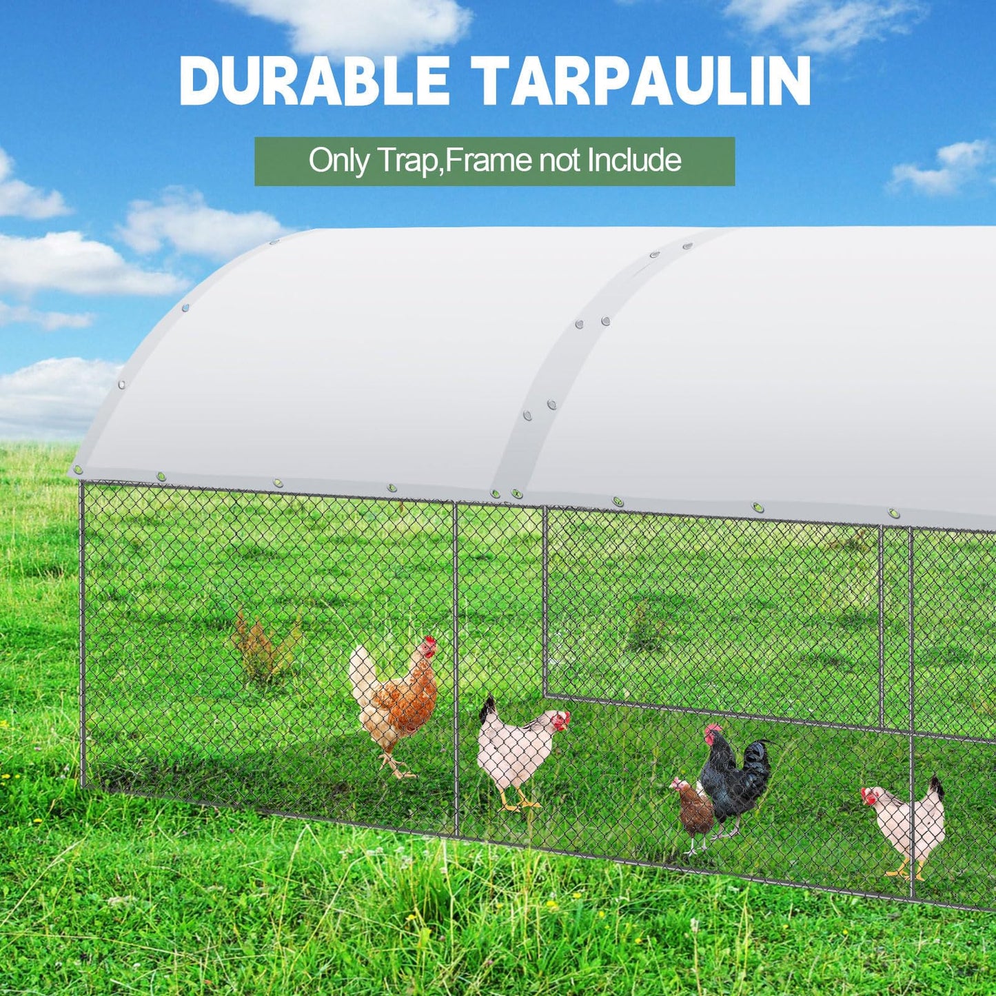 VitalCozy 2 Pcs Chicken Coop Cover Waterproof 14.5 x 6.6 ft Chicken Run Cover Coop Tarp Accessories for Winter with 50 Pcs Ball Bungees Cords for Outdoor (White)