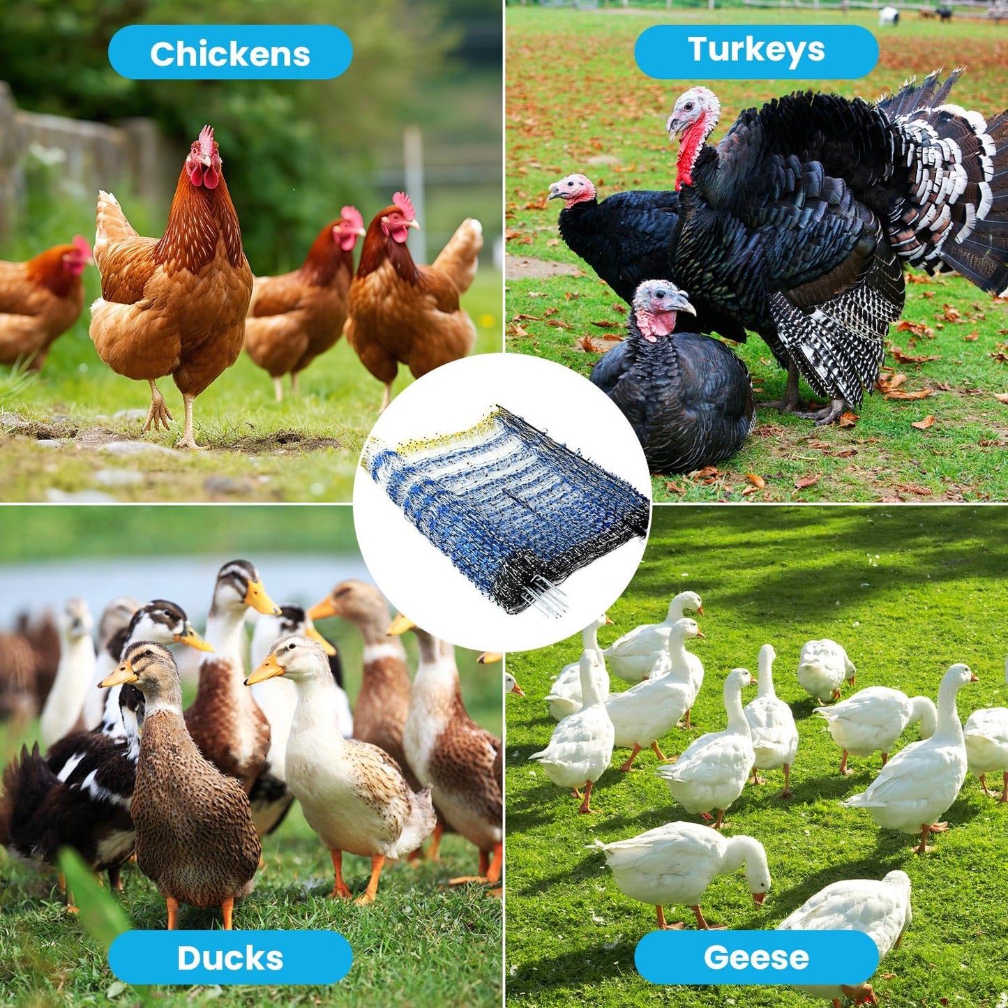 Electric Poultry Netting, 47.2" H x 164'L Electric Chicken Fence, Portable Chicken Fence with Double Spiked Fiberglass Posts for Chickens, Ducks,Turkeys, Sheep, Geese in Yard, Farms,Backyards, Garden