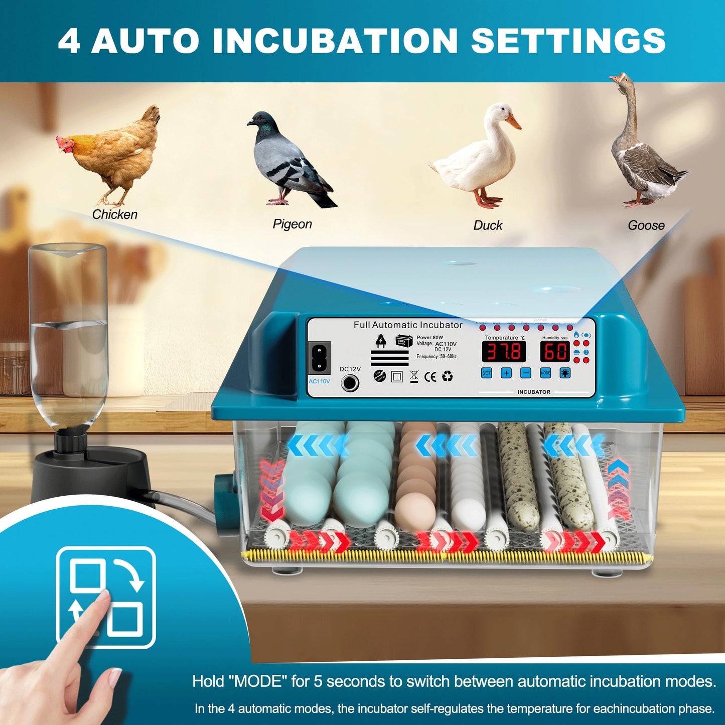 Loyfoly Incubators for Hatching Eggs, 36 Egg Incubator with Automatic Egg Turning and Humidity Control, Chicken, Duck, Goose, Bird, Quail, Incubator for Farm, Lab, Home（Blue）