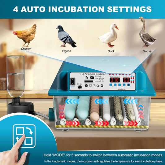Loyfoly Incubators for Hatching Eggs, 36 Egg Incubator with Automatic Egg Turning and Humidity Control, Chicken, Duck, Goose, Bird, Quail, Incubator for Farm, Lab, Home（Blue）