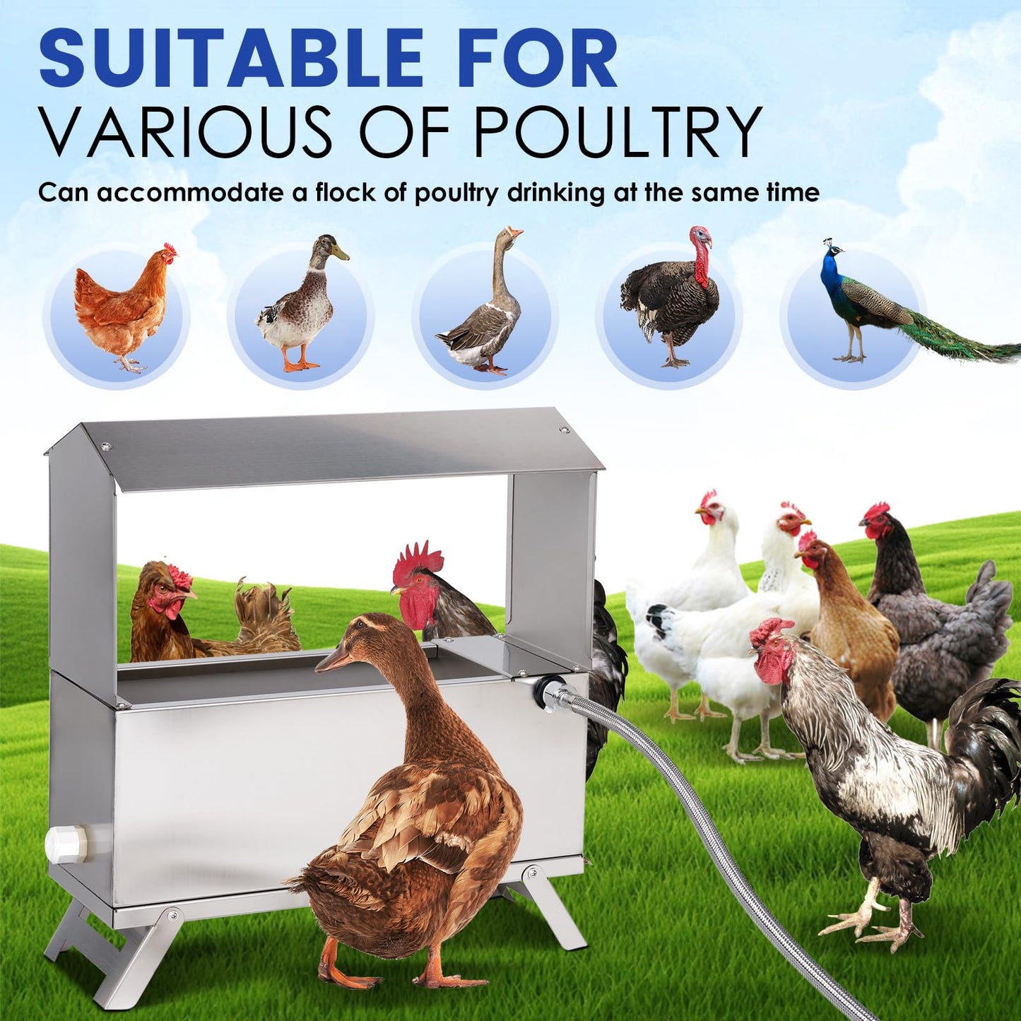1.6 Gal Automatic Chicken Waterer Stainless Steel Poultry Waterer Dispenser with Float Valve Kit and Bottom Bracket Chicken Waterer Feeder for Hen Duck Goose Turkeys