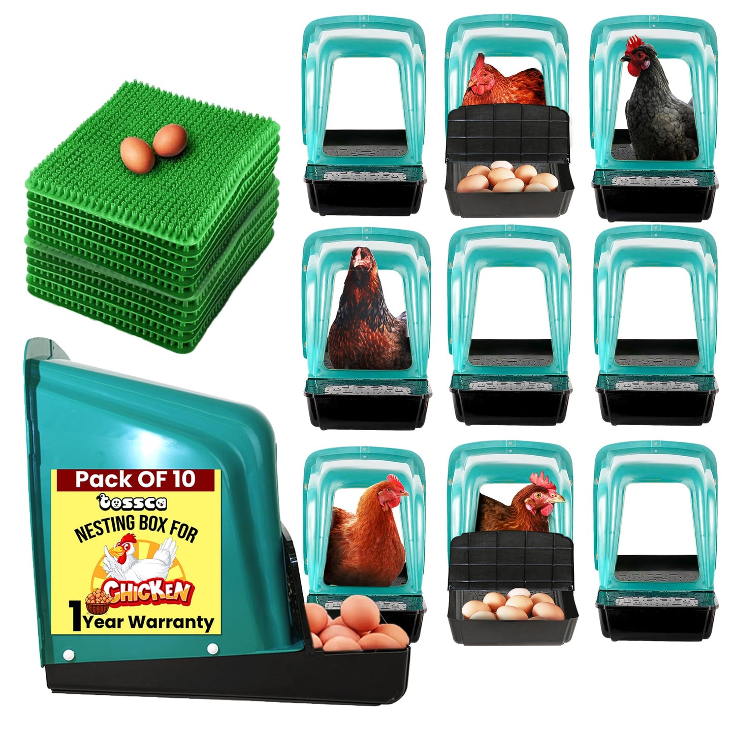 Tossca Nesting Boxes for Chicken Coop | Roll Away Hen House for Laying Eggs | Durable Plastic Chick Brooder Box with Perch & Pull Out Egg Tray for Poultry Farm | Chicken Coop Accessories (Pack of 10)
