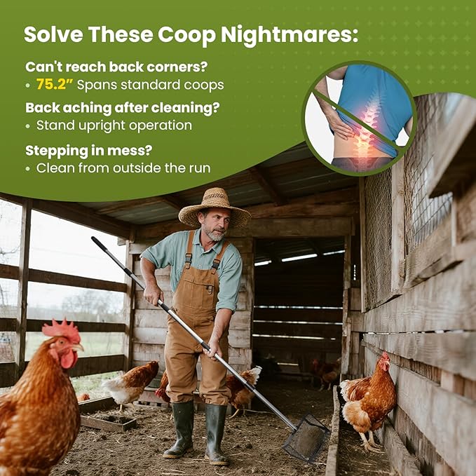 Chicken Poop Scooper for Sand, 75.2" Extra Long Chicken Coop Rake, Stainless Steel Handle Adjustable Coop Accessories 2-in-1 with 10" Large Metal Shovel Head for Poultry Dog Cat Litter