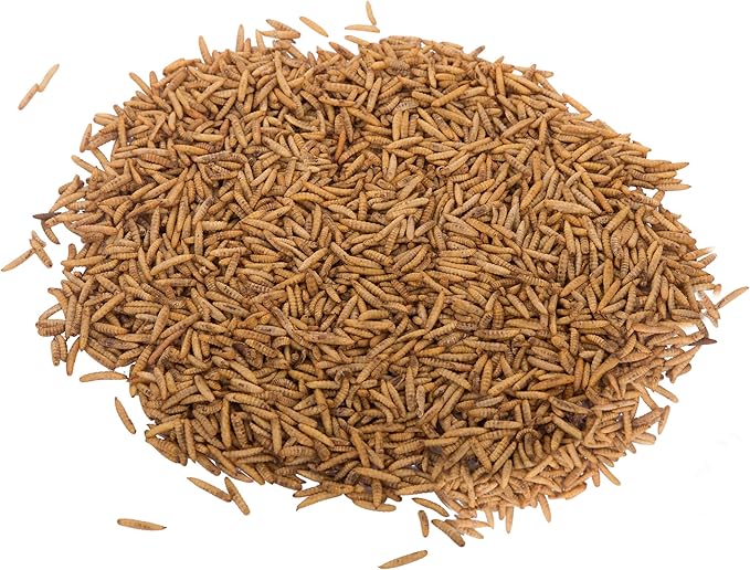 Chubby Dried Black Soldier Fly Larvae for Chickens 5lb - High Calcium Treats for Laying Hens, Ducks, Quails, Turkeys, Wild Birds - 100% Natural Non-GMO Bulk Chicken Feed, Nutrient-Rich, No Additives