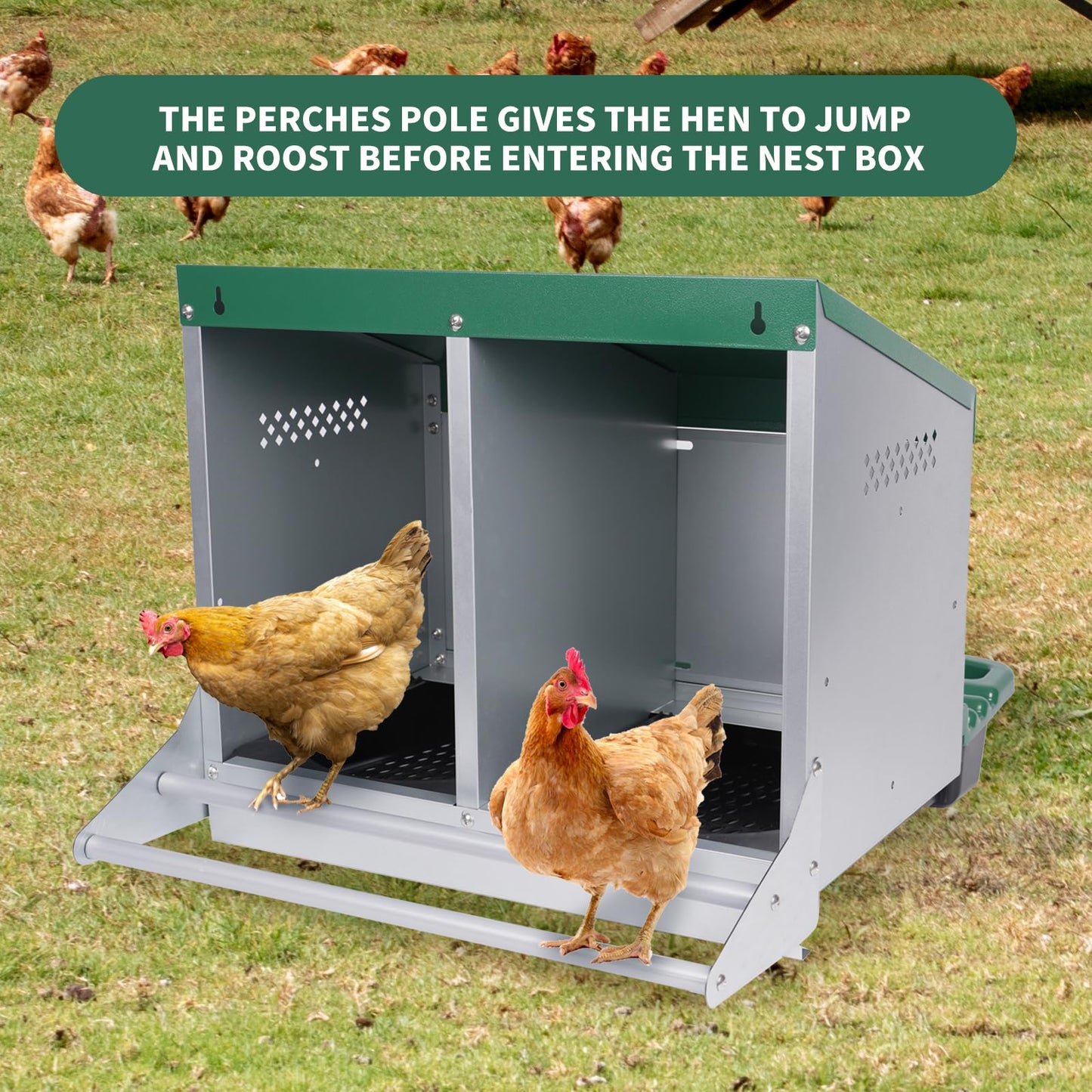 Chicken Nesting Box, 2 Holes Nesting Boxes, Heavy Duty Metal Laying Boxes, Roll Away Nesting Box Egg Collection Tray, with Roosting Pole for Chicken Coop(Green)