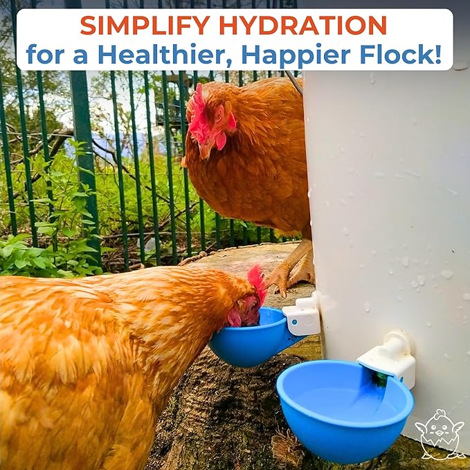 Lil Clucker - Blue Large Automatic Chicken Waterer Cups Suitable for Ducks, Geese, Turkeys, and Bunny Rabbit - Water Feeder Kit - Poultry Waterer - Pack of 5