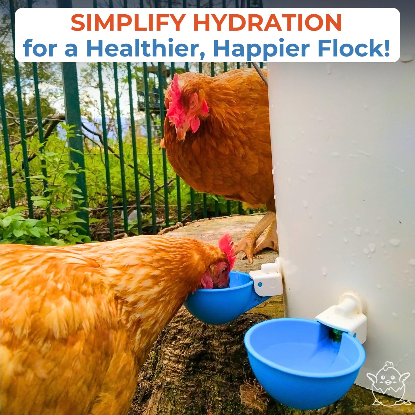 Lil Clucker - Blue Large Automatic Chicken Waterer Cups Suitable for Ducks, Geese, Turkeys, and Bunny Rabbit - Water Feeder Kit - Poultry Waterer - Pack of 5