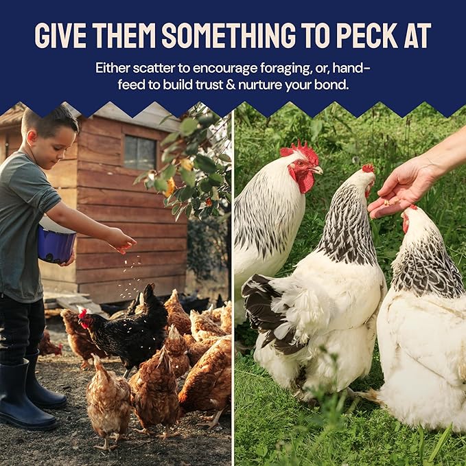 Chicken Feed & Treats - 10 Lb Non-GMO Bulk Larvae & Grubs - High-Protein Food for Laying Hens & Poultry - Grubs & Worms for Chickens & Bluebird Food - Calcium-Rich Supplement