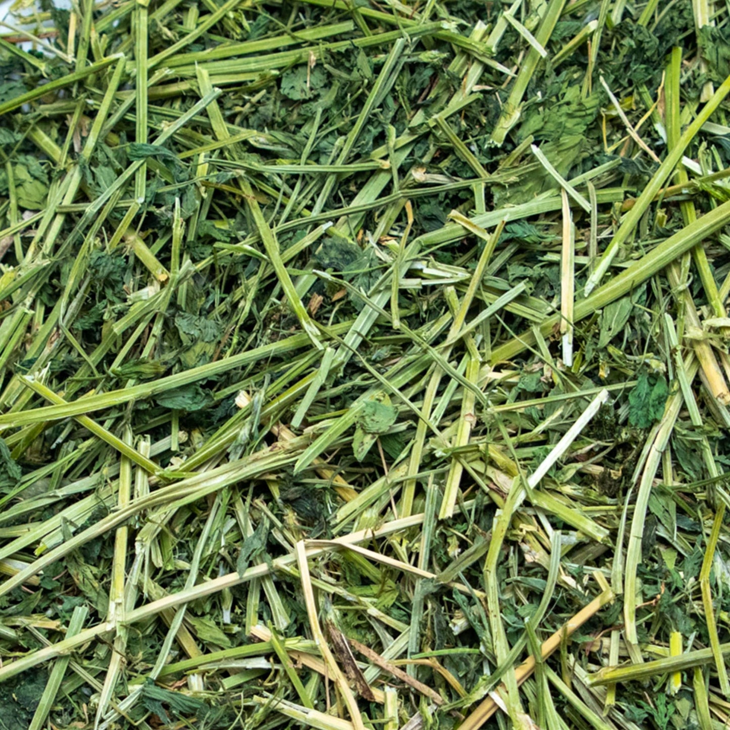 Rabbit Hole Hay - Ultra Premium Alfalfa Hay for Small Pets - 12 oz - Hand-Sorted & Fresh