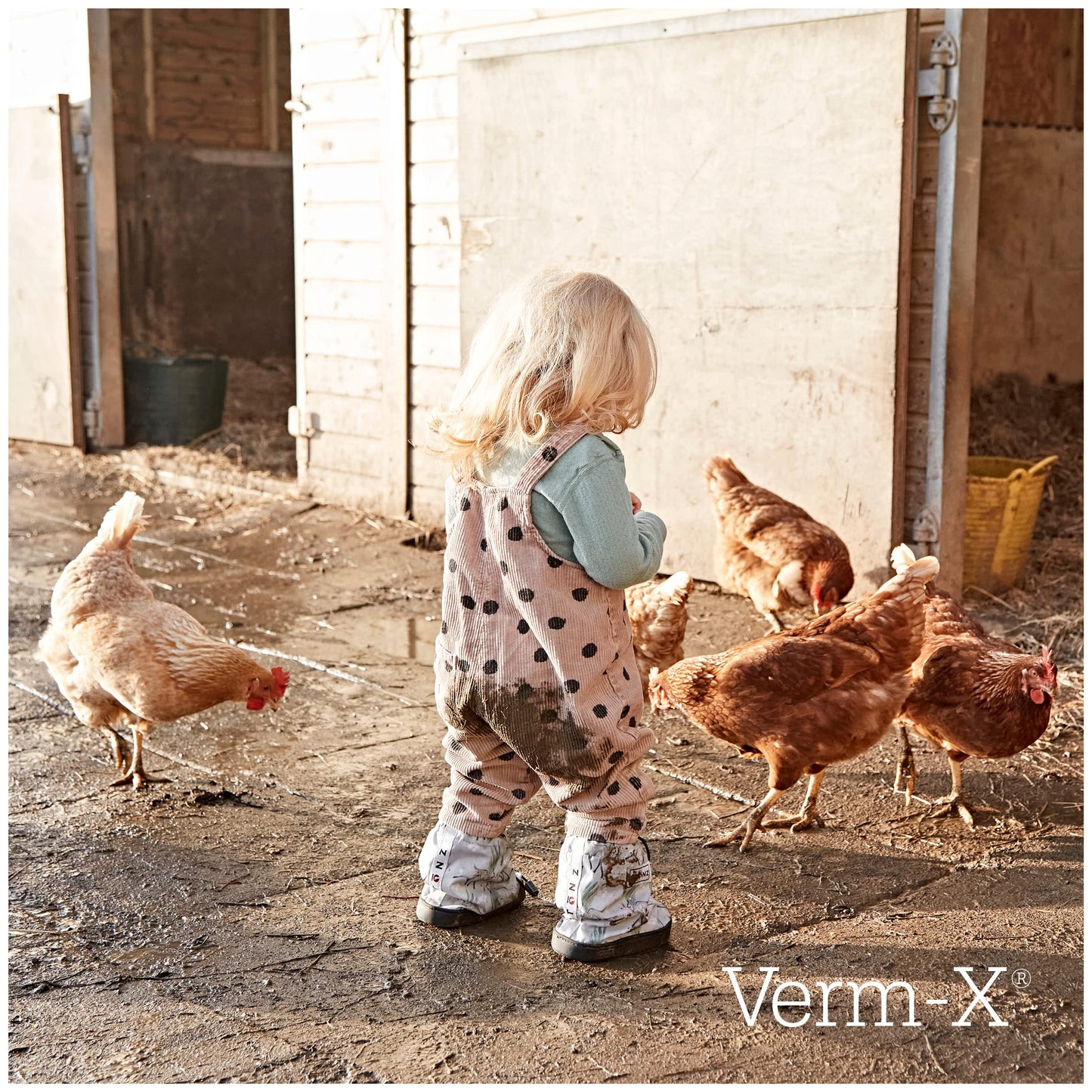 Verm-X Liquid Poultry & Fowl Internal Parasite 250Ml
