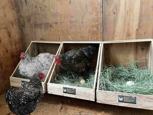 Single Compartment Hens Nesting Box, Chicken Coop Accessories, Wood Nesting Boxes for Up to 5 Hens, Big Duty Laying Nest Box for Duck and Poultry(1 Pack)