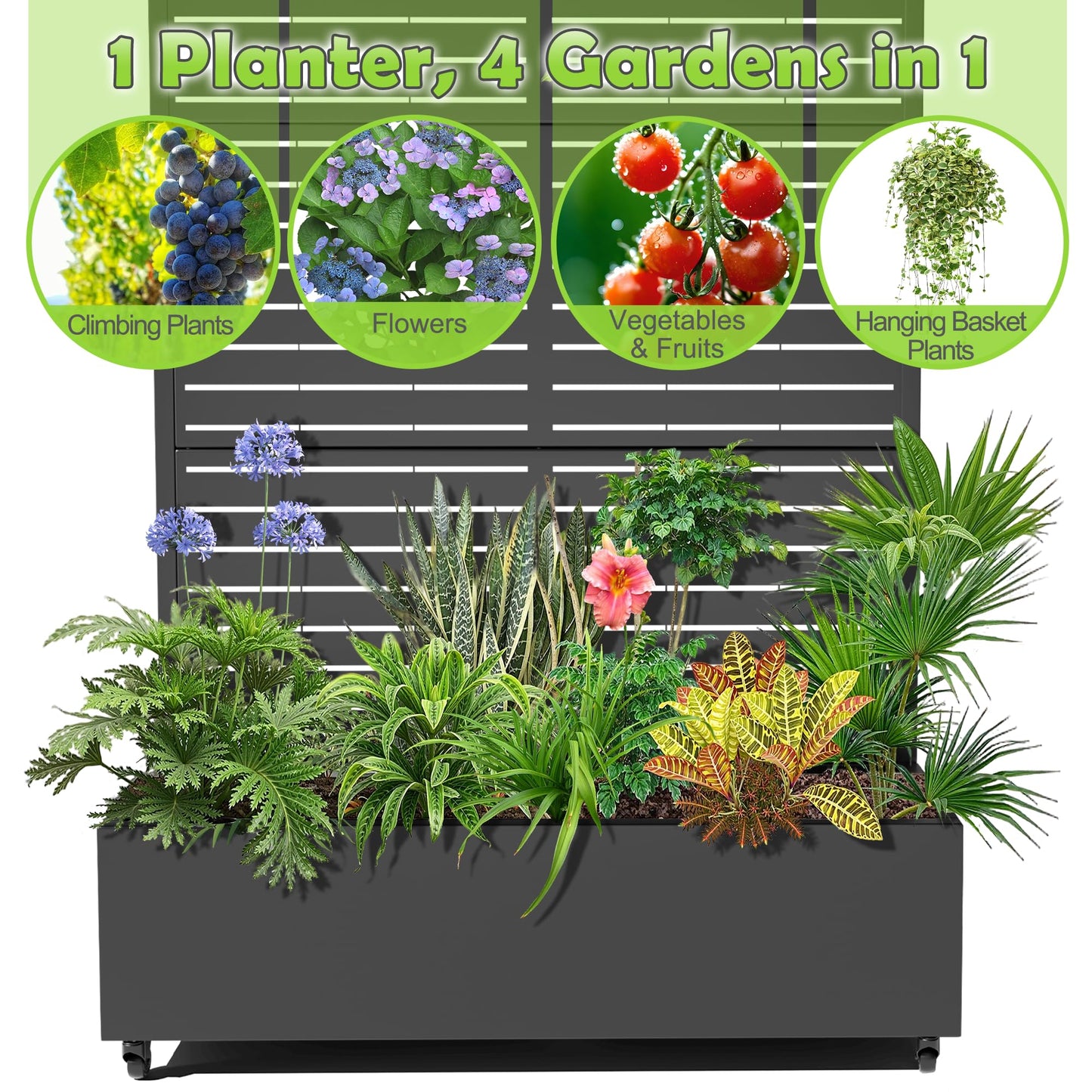 15.7"×70.9"×47.2" Metal Raised Garden Bed with Trellis and Wheels - Tall Trellis Planter Box for Climbing Plants, Vegetables & Vines - Outdoor Privacy Planters for Patio (Black-Louvered)