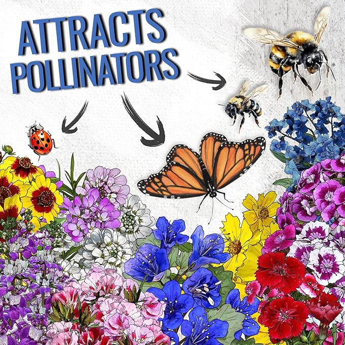 Seed Needs Low Growing Wildflower Flower Seeds for Planting | 1 Ounce Mixture/Blend 17 Varieties | Resealable Package Multicolored Blooms Open Pollinated Mixed Species | Bulk