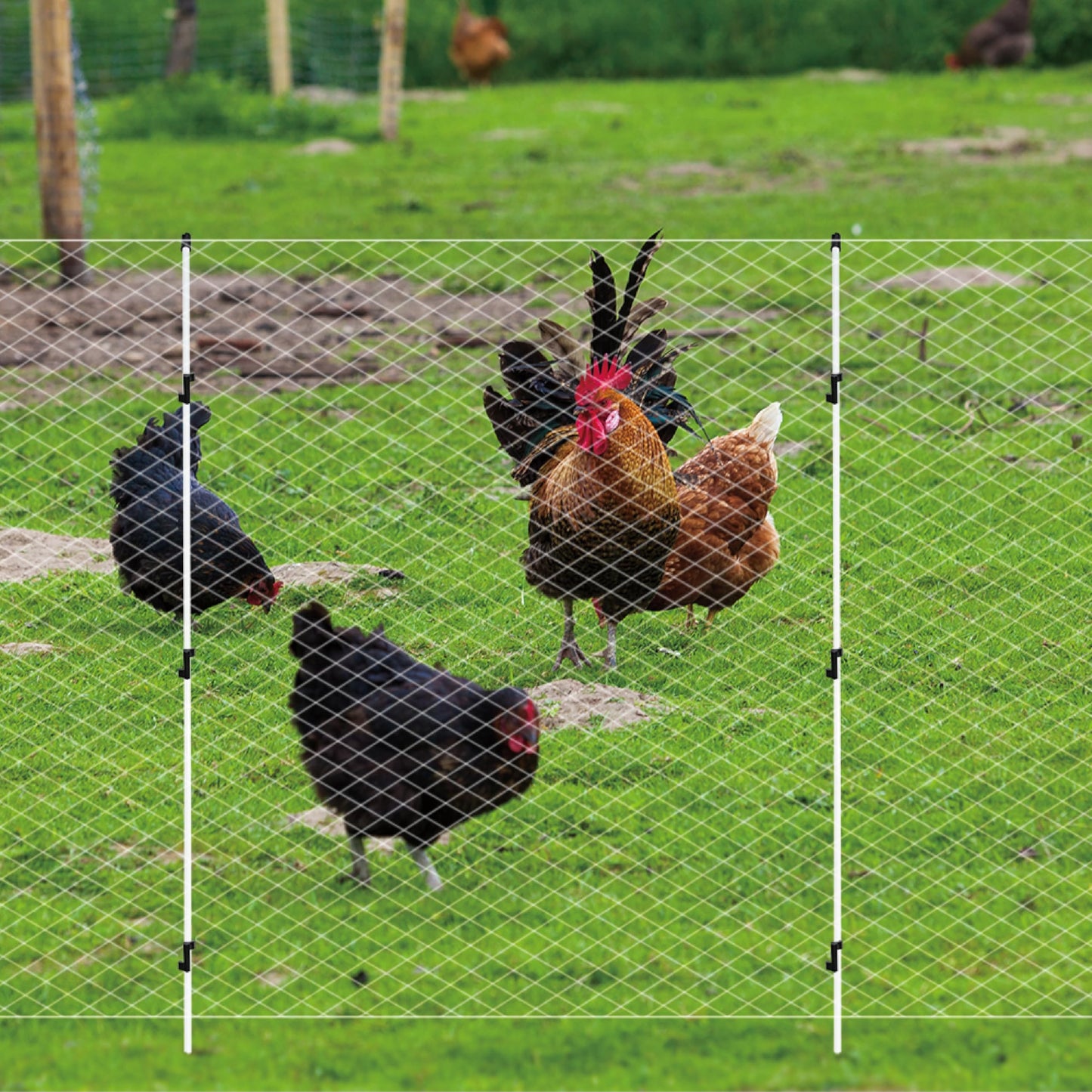 60'' Fiberglass Electric Fence Posts with Double Spikes for Animals, Garden Protection, etc. - 36 Posts Come with 180 Clips
