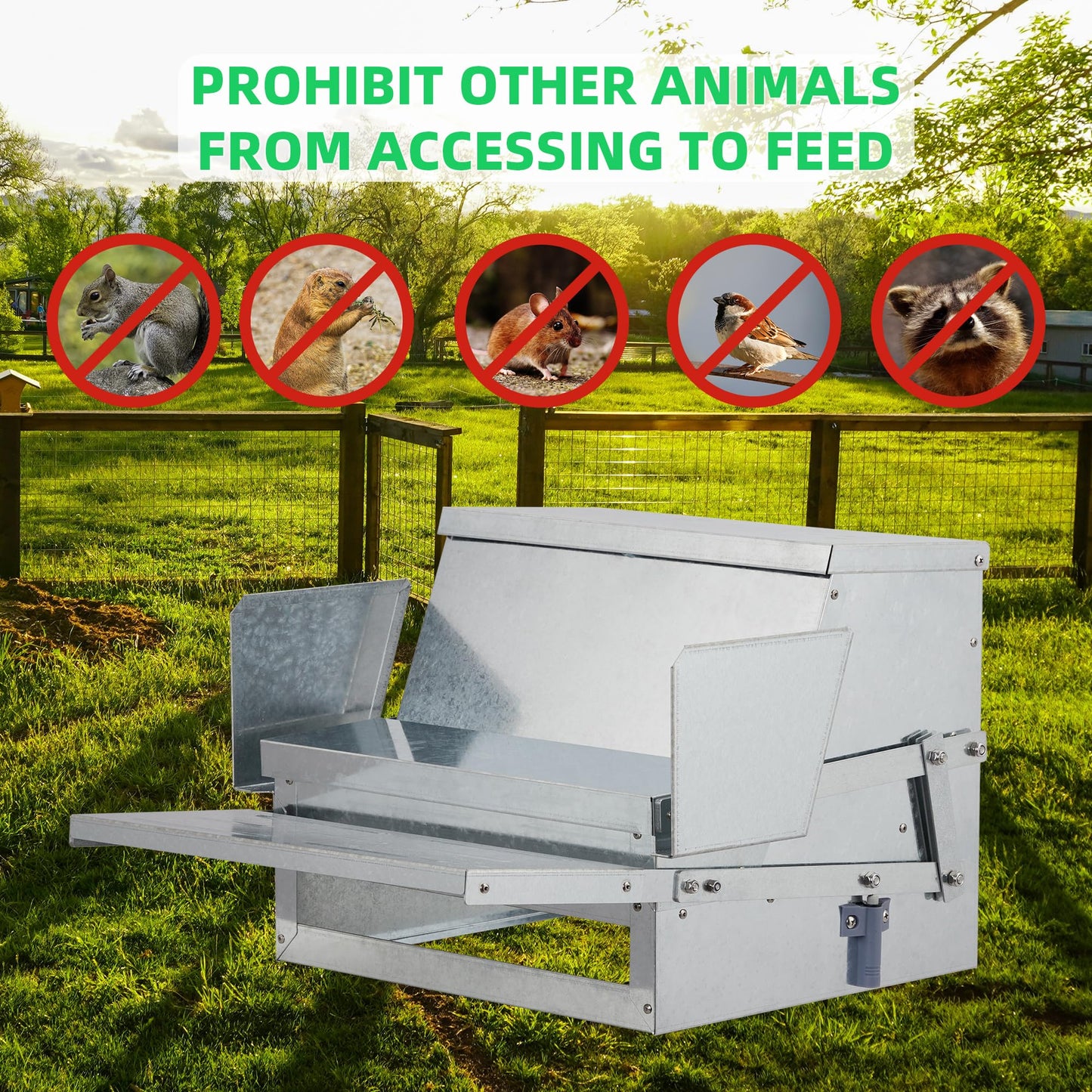 Domenow Chicken Treadle Feeder, Poultry Feeder, 30lbs Automatic Chicken Feeder with Sides Buffer System, for 15-20 Chickens