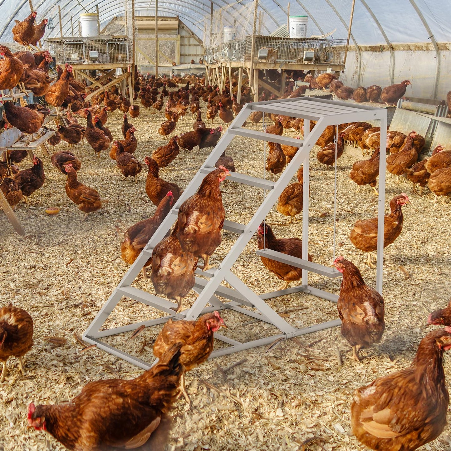 Chicken Coop, Chicken Perches with Swing, Chicken Roosting Bars, Chicken Activity Play Toys, Wooden Chicken Ladder for Pet's Healthy & Happy, Suitable for Backyard Farm