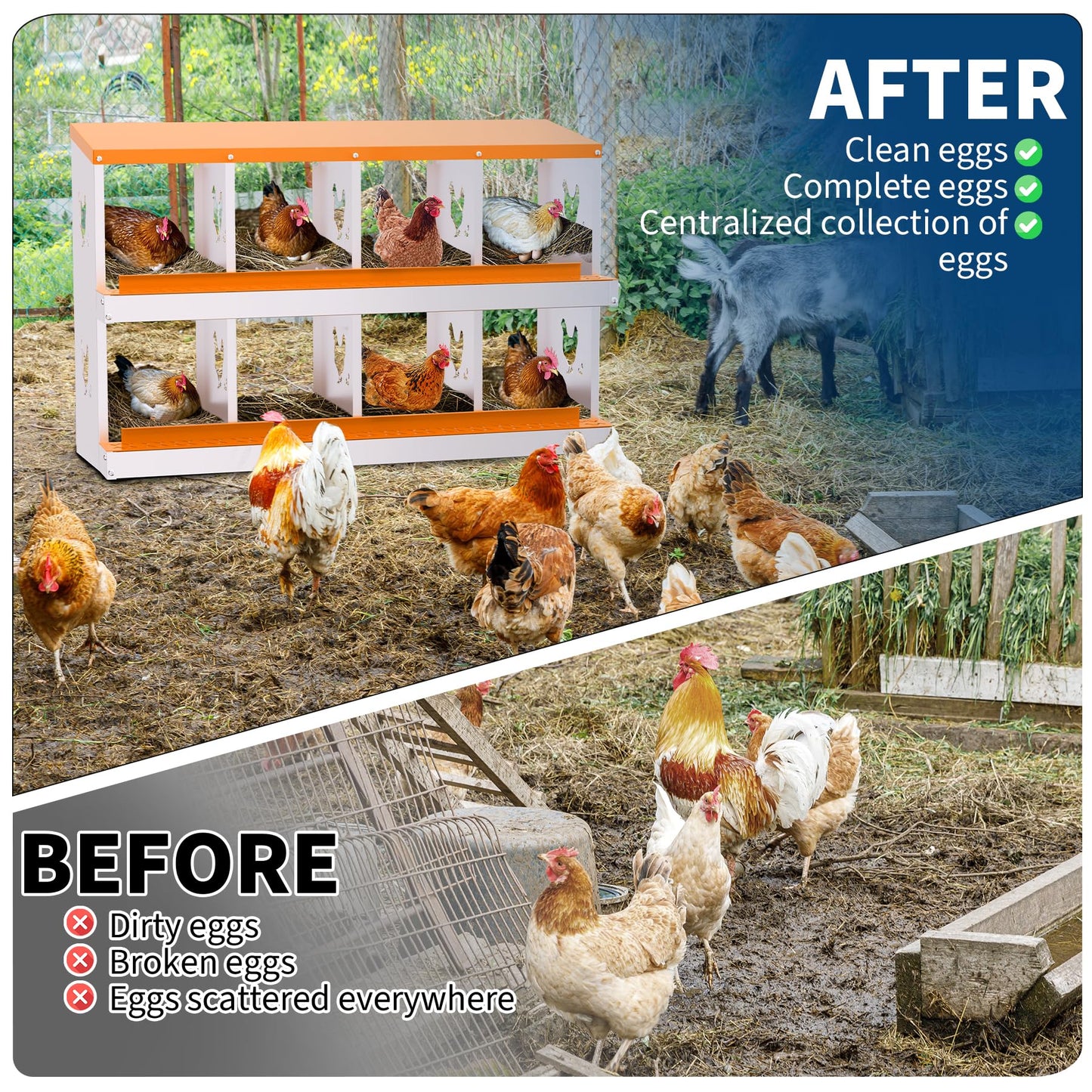 Garvee Chicken Nesting Box with Removable Tray, 8 Compartment Nesting Boxes for Chickens, Easy to Clean and Install, Chicken Laying Boxes for Chicken Coop to Protect Eggs, Orange