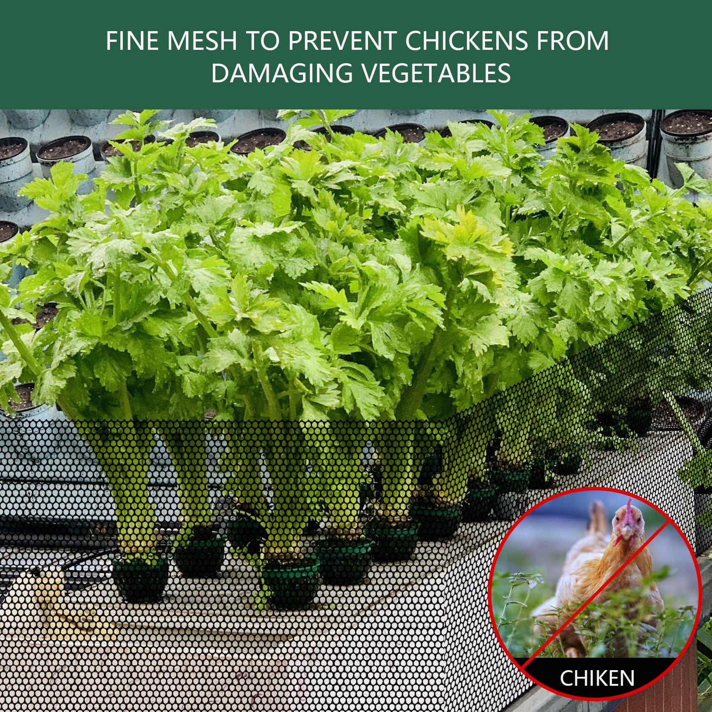 15.7 in x 19.7 FT Plastic Chicken Wire Fencing,Comes with 30 Twist Ties, Black Chicken Wire mesh,Poultry Netting,Poultry Fence,Chicken Wire for Crafts,Plastic Garden Fencing,Floral Chicken Wire