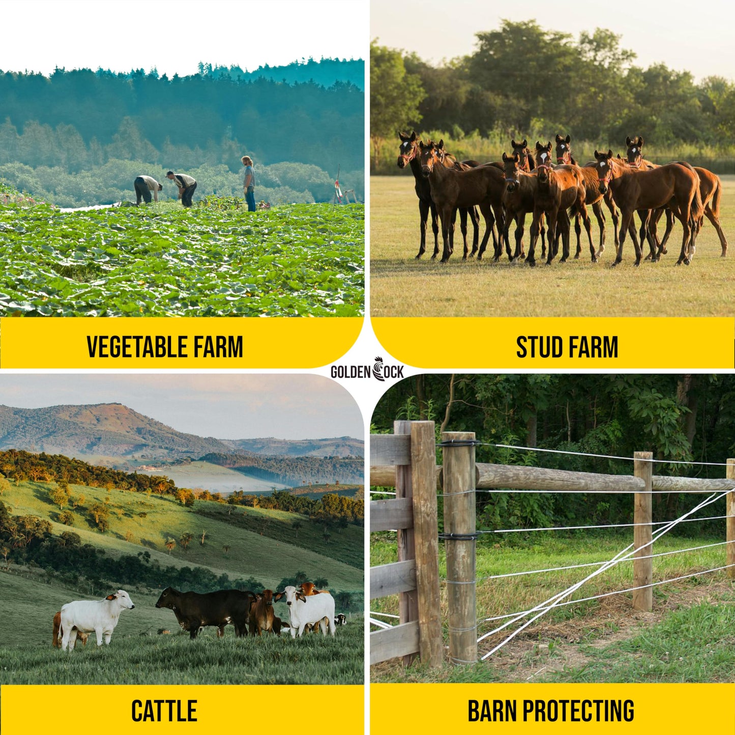 Electric Fence Wire 1000 ft, 1/4 inch (6 mm), 4 Highly Conductive Tinned Copper Strands, Ideal for Temporary Pastures and Equine Containment Livestock, Work with Insulator and Charger