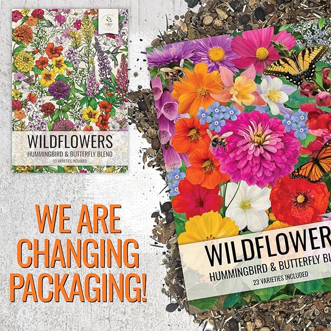 Seed Needs Wildflower Seeds Butterfly and Hummingbird Seed Mix 2 Ounce No Filler | 23 Varieties Annual & Perennial Species Such as Butterfly Milkweed, Cosmos & Zinnia | Resealable Bulk Package