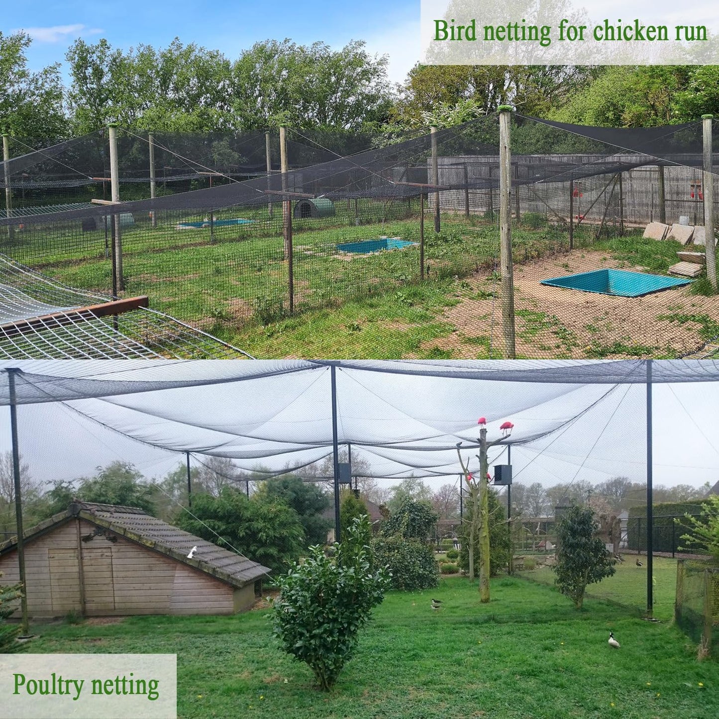 Vocray Bird Netting for Chicken Coop 50x50 Ft, 1" Mesh, Strong Woven Poultry Netting Roof Cover for Chicken Run, Heavy Duty Bird Net for Fruit Trees, Blueberry, Vegetables, Garden Protection