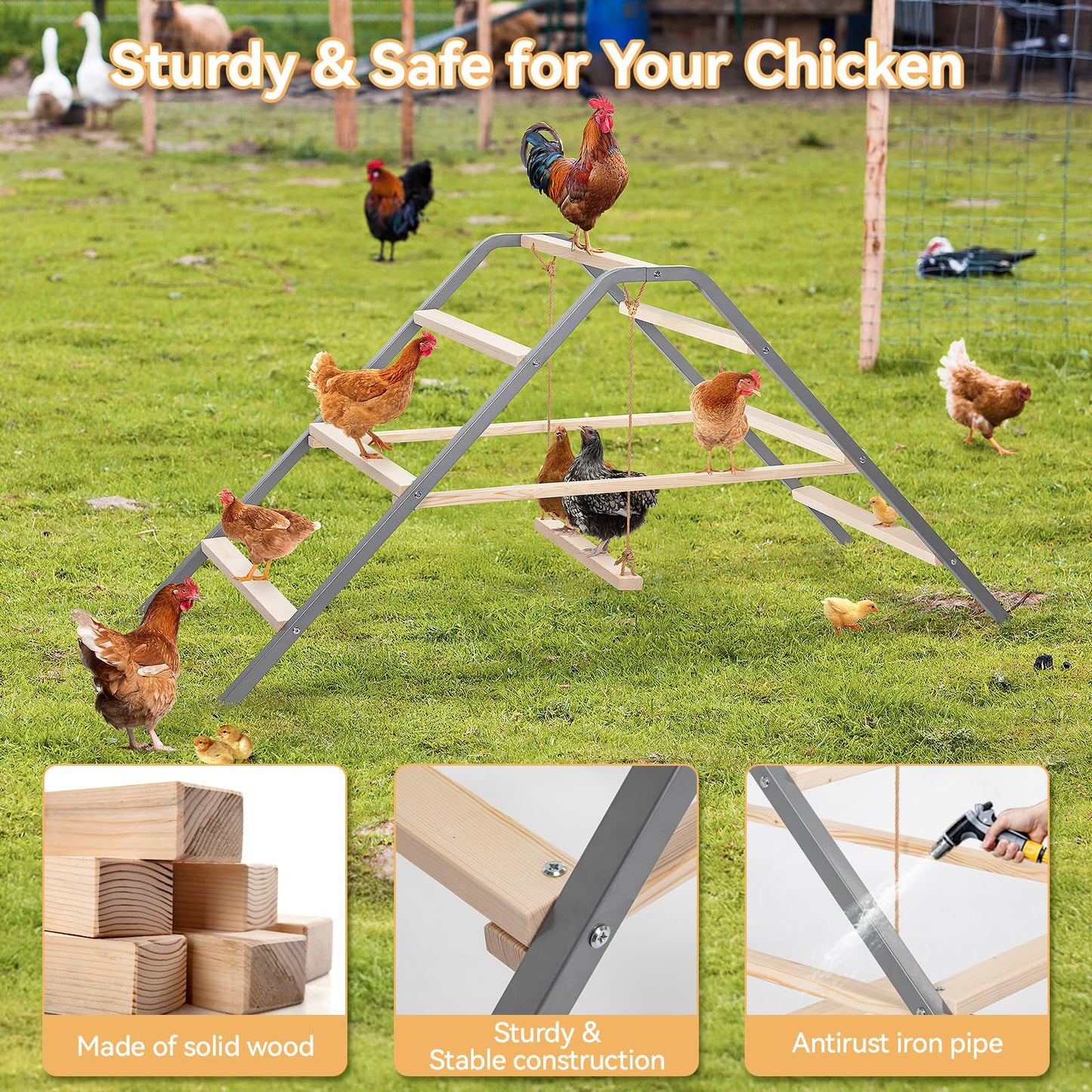 PETSFIT 4 Holes Chicken Nesting Box-All Weather PVC Roof and Chicken Perch