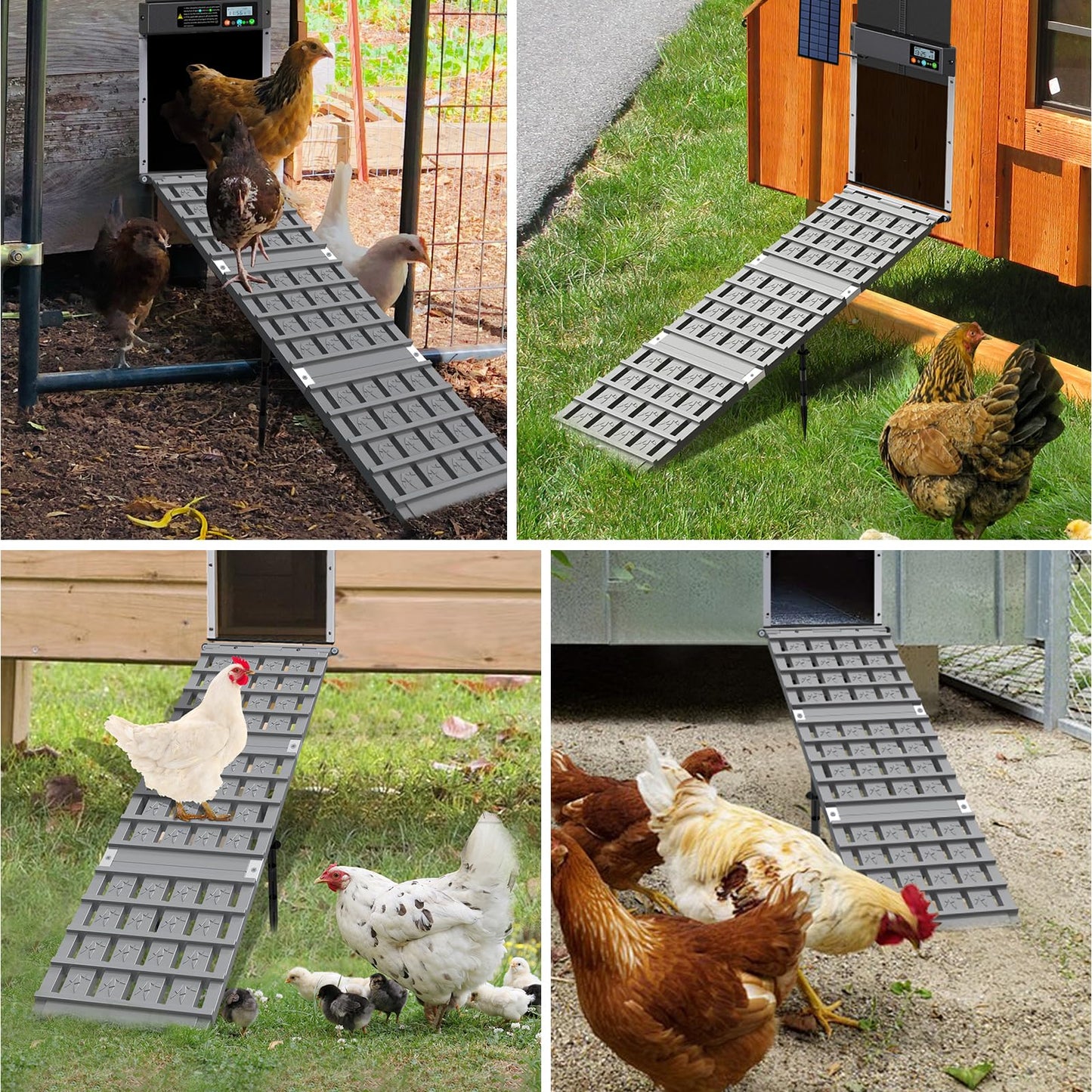 Chicken Coop Ramp, Ladder Length Adjustable for Henhouse, Coop Steps for Feet Problem or Cannot Fly Chickens, Sturdy, Rot-Resistant, Waterproof