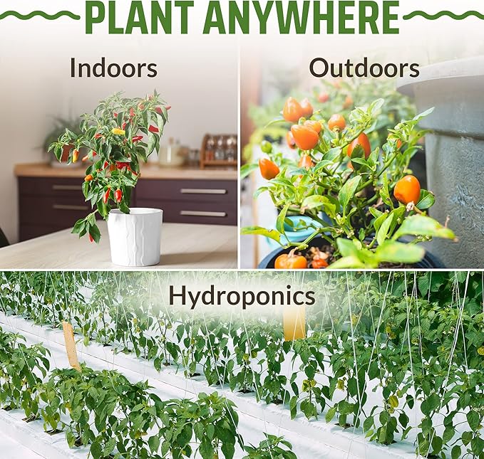 HOME GROWN Banana Pepper + Rooted Acre 8 Hot Peppers Variety Pack – 320+ Non-GMO Heirloom Seeds – Sweet & Spicy Peppers for Indoor/Outdoor Growing – High Germination USA-Sourced Seeds