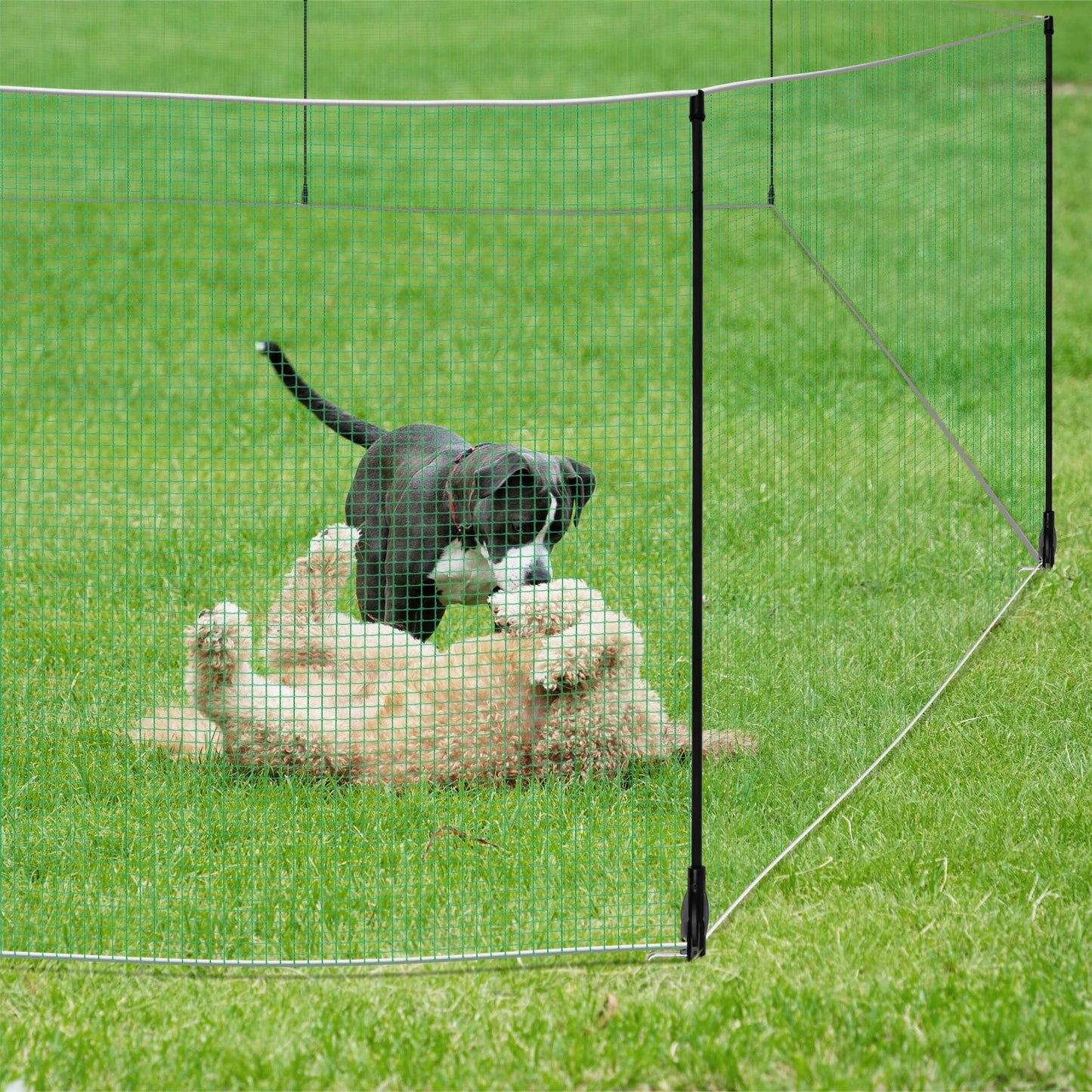 Toriexon Non Electric Fence Netting 48"x65', Boundary Fence with Double Spiked Posts&Windproof Kit, Portable Poultry Fence for Dogs, Chickens, Ducks, Turkeys Suitable in Backyard, Garden, Farm-Green