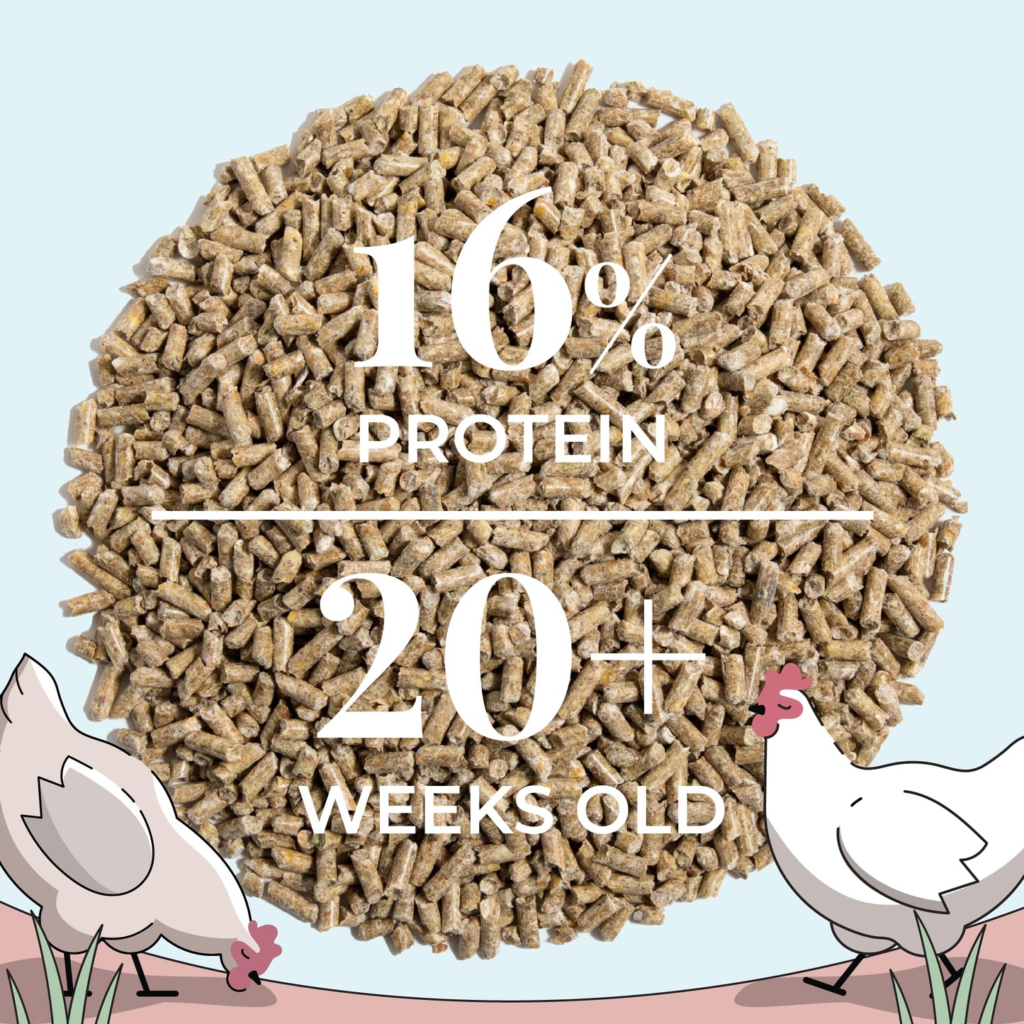 Mile Four Organic Chicken Feed – Layer Pellet, Non-GMO, USA Grown, 16% Protein, Corn-Free, Soy-Free, Non-Medicated Feed for Chickens, 2 lbs Sample