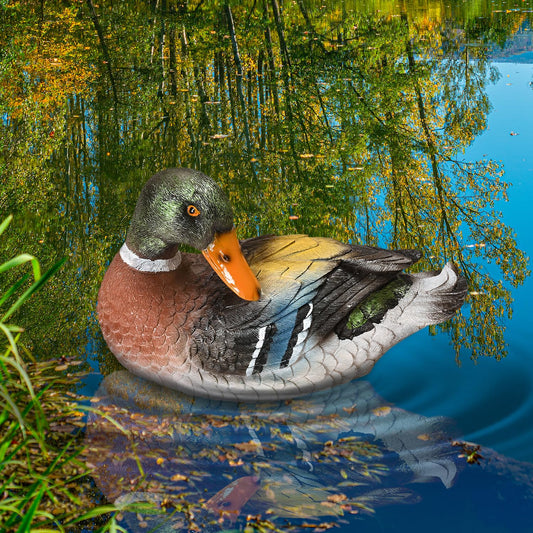 MONT PLEASANT Floating Duck for Pool, Duck Hunting Decoy, Realistic Resin Mallard Duck for Pond, Decorative Pool & Garden Accessory Outdoor Decorations