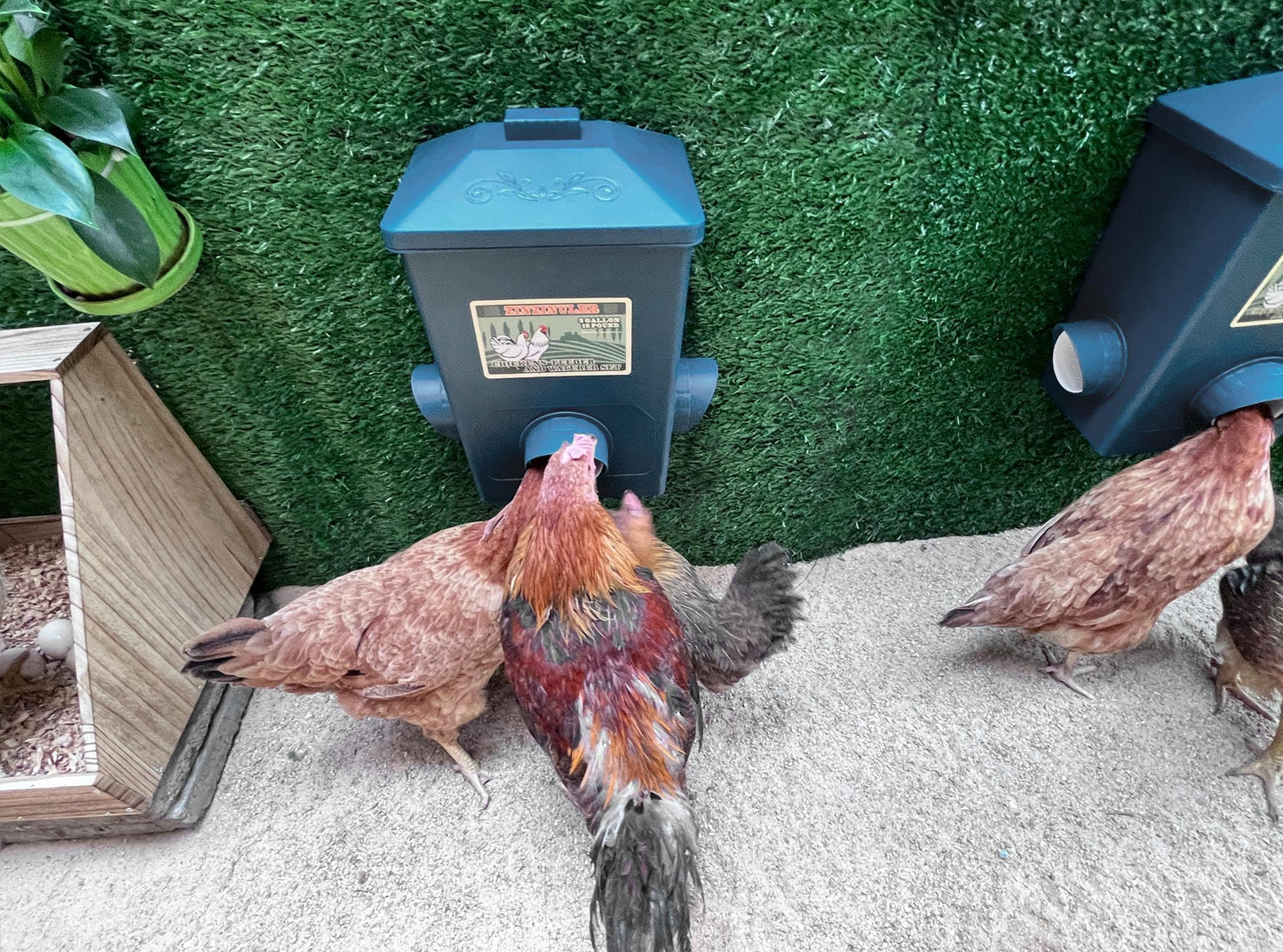 Chicken Feeder, Hanging Automatic Chick Feeders, Chicken Coop Accessories(52 Pounds / 2 Pcs)