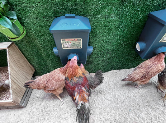 Chicken Feeder, Hanging Automatic Chick Feeders, Chicken Coop Accessories(52 Pounds / 2 Pcs)