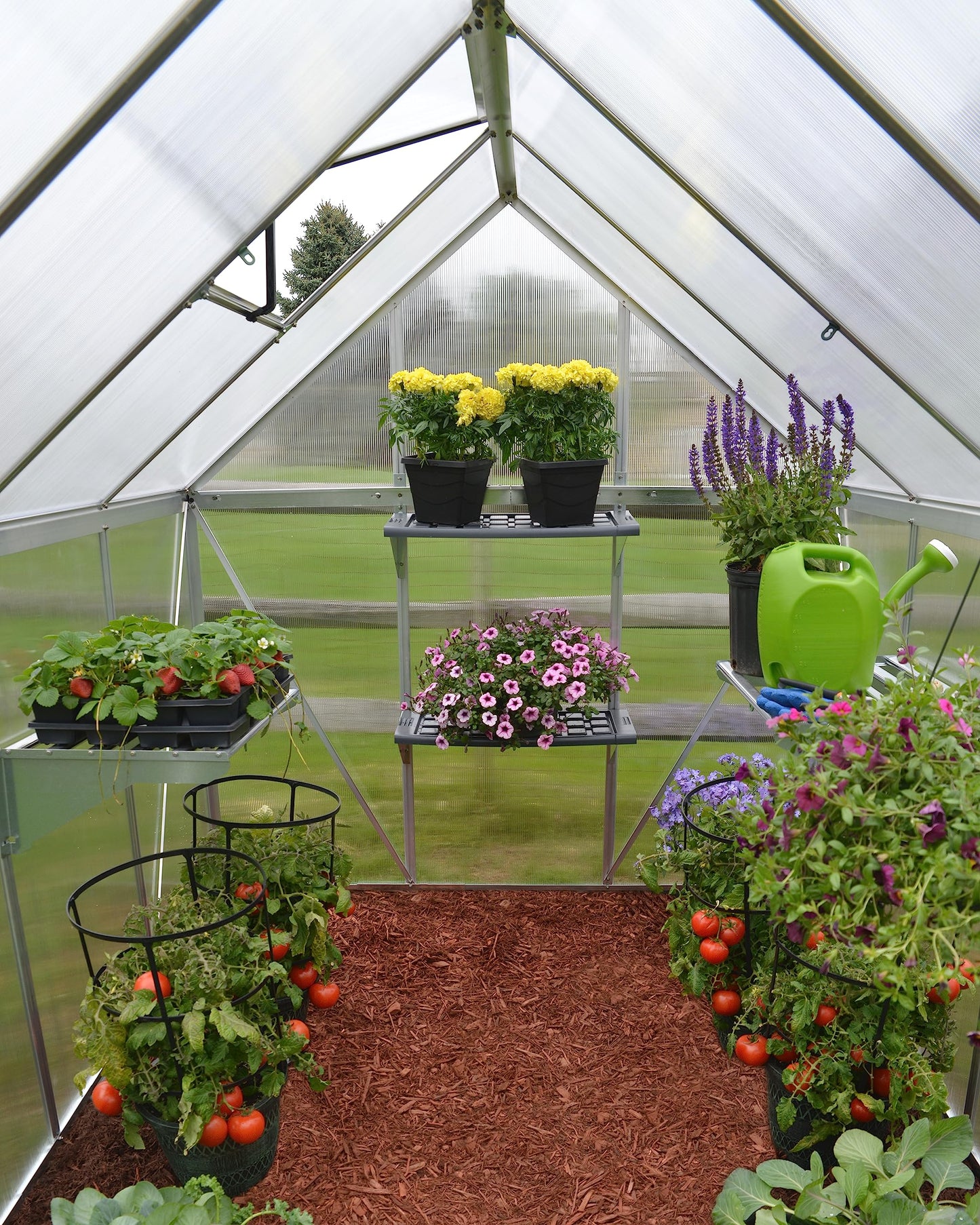 Palram - Canopia 6x10 Greenhouse Kit, Hobby Walk-In Twin-Wall UV Polycarbonate Heavy Duty Aluminum Frame, Lockable Door, Adjustable Roof Vent, Rain Gutters, Galvanized Steel Base, Mythos (Silver)