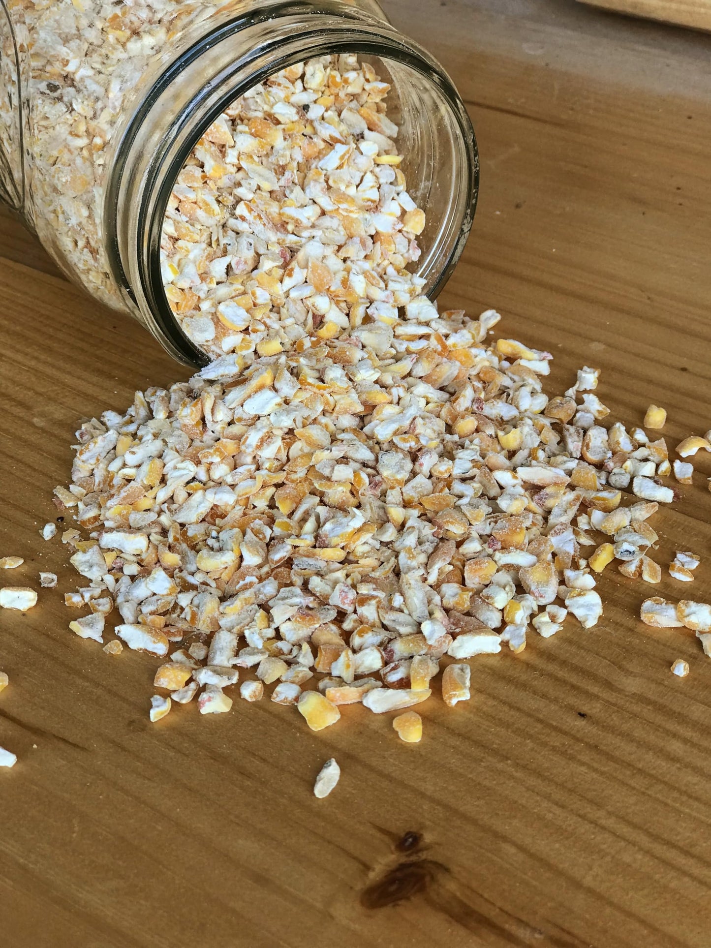 Ernst Grain Cracked Corn, Non-GMO – Perfect Feed for Ducks, Squirrels, Chickens, Ducks, Deer, Rabbits, Geese, and More! (10 lb)