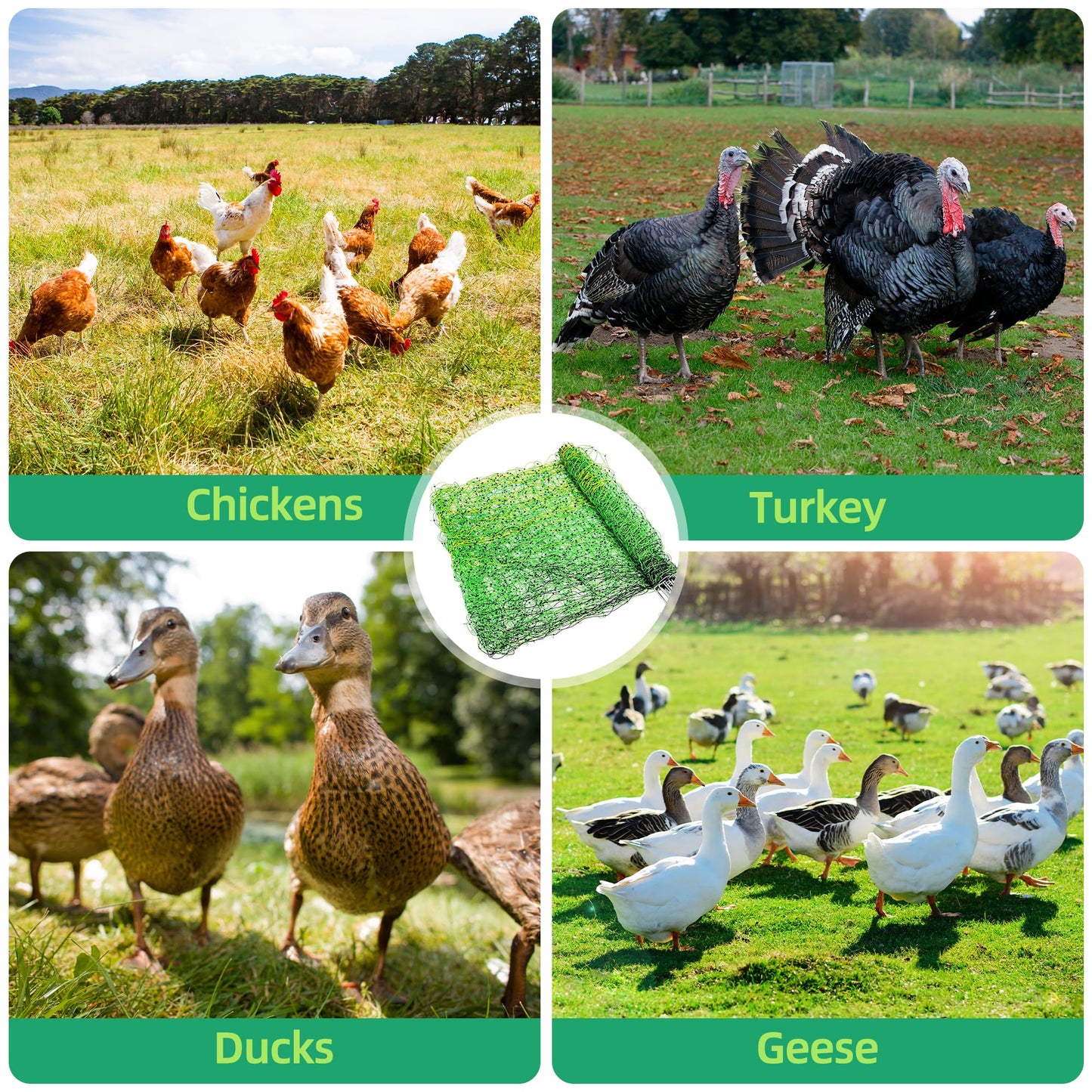 Poultry Netting Electric Fence, 41.5" H x 164' L, Portable Livestock Nets Mesh for Chickens, Ducks, Geese, Turkey, Electric Fencing for Backyards, Homesteaders, Farms, Ranches, Gardens
