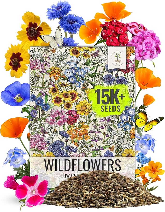 Seed Needs Low Growing Wildflower Flower Seeds for Planting | 1 Ounce Mixture/Blend 17 Varieties | Resealable Package Multicolored Blooms Open Pollinated Mixed Species | Bulk