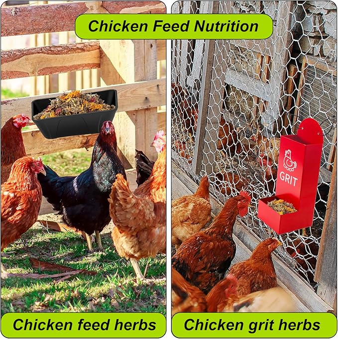 21 Oz Chicken Nesting Herbs Flowers Premixed Dried Poultry Herbs Natural Nesting Box Pads Roost House Lime Feed Grit Herbs Bedding Supplies for Chicken Duck Coop Feeder Freshness Egg Laying Coop Smell