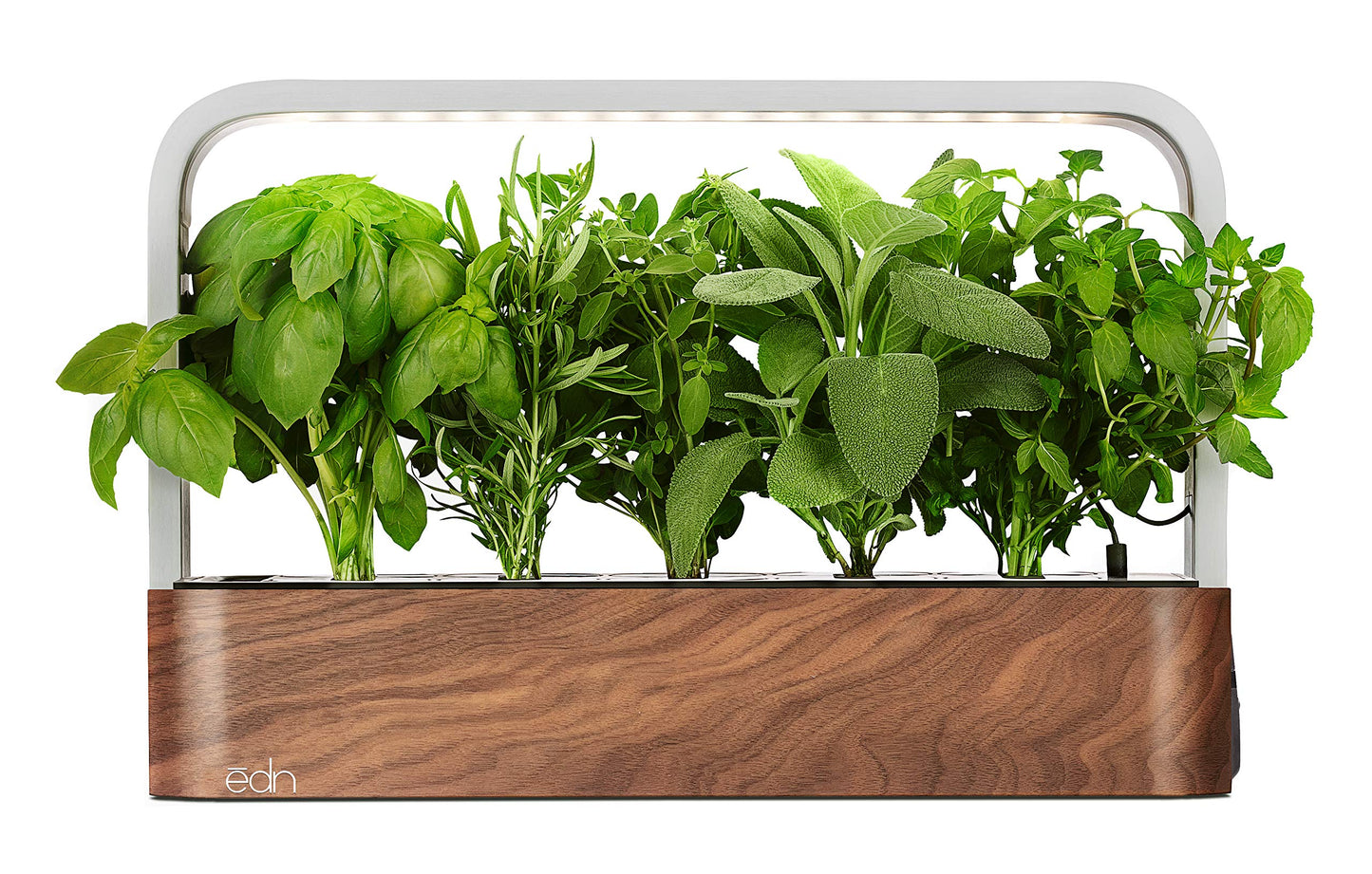 EDN SmallGarden with Basil SeedPods, Indoor Grow Smart Garden for iOS Devices - Fresh Home Grown Herbs, Plants and Flowers - Grow up to 10 Different Plants at Once