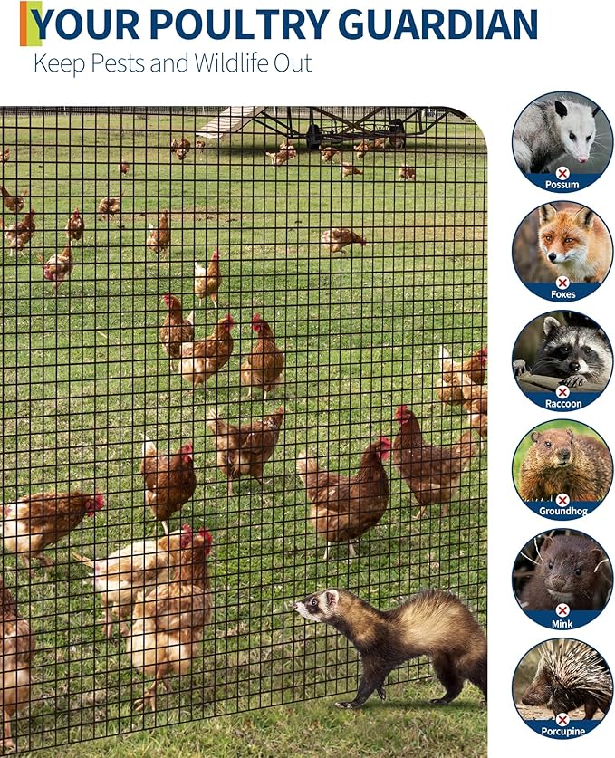 1/2 inch 36 inch x 100 FT Hardware Cloth, 19GA Chicken Wire Fencing,Galvanized Welded Wire Mesh Roll for Poultry Netting Cage, Chicken Coop, Black
