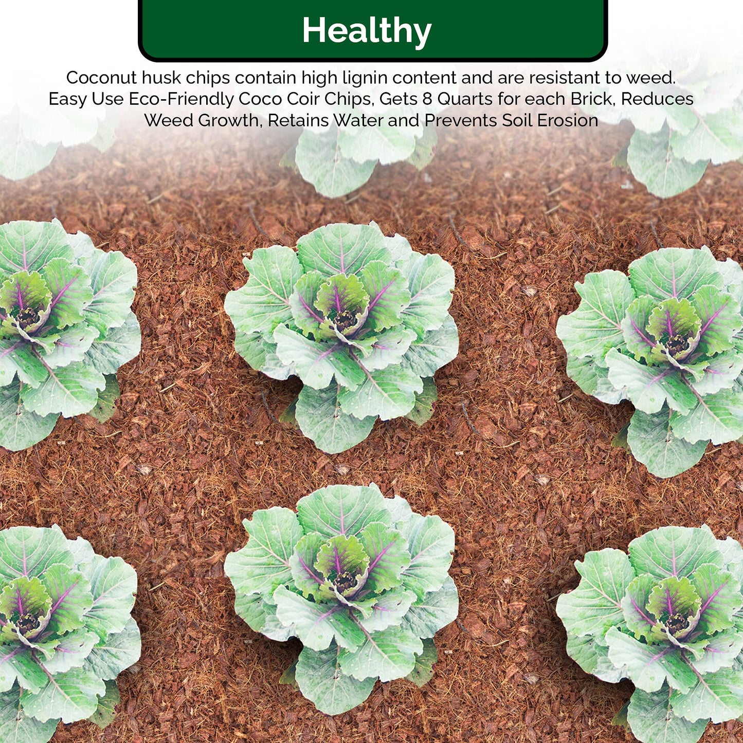 UBICON Easy to Use Compressed Coco Coir Organic Top Soil for Indoor and Outdoor; 24 Bricks expands to 60 Gallons, Excellent Aeration, Reduces Weed Growth, and Retains Water
